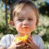 L&rsquo;alimentation de votre bébé de 6 à 9 mois – Baby Exclusives